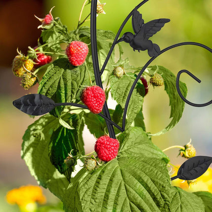 Stahlspalier für Kletterpflanzen, Blumendesign