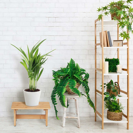 Stool in bamboo