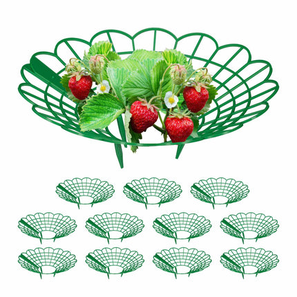 Strawberry holder in a set