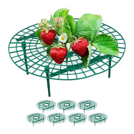 Strawberry support 8-pack