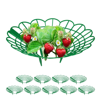 Strawberry support in set