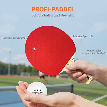 Table Tennis Set: 4 Paddles, 8 Balls, Carry Bag