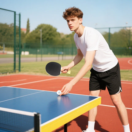 Table Tennis Set: 4 Paddles, 8 Balls, Carry Bag
