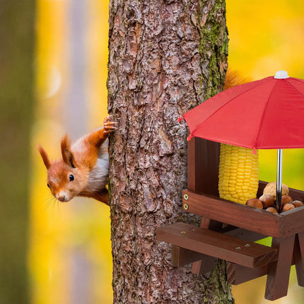 Tischset für Eichhörnchen