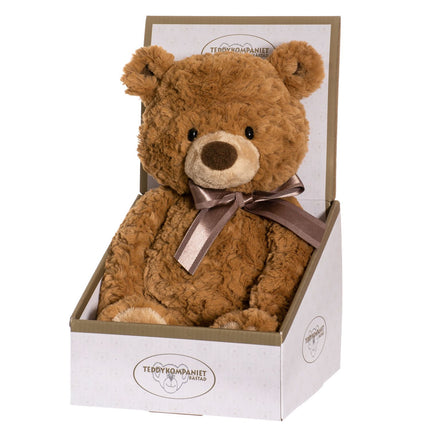 Teddybär in Giftbox