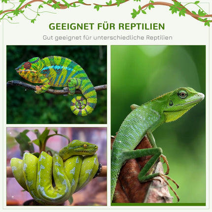 Terrarium pour reptiles, amphibiens et arachnides, en aluminium, blanc, argent et noir, dimensions : 120 x 40 x 40 cm