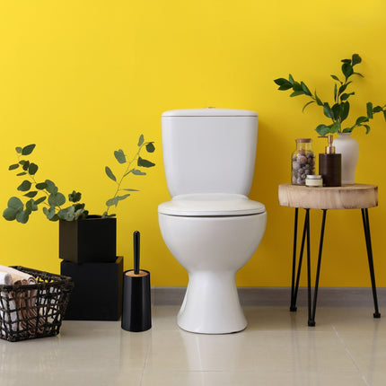 Toilet brush with container