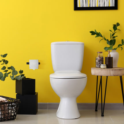 Toilet paper holder black