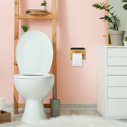 Toilet paper holder with shelf