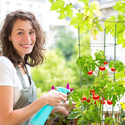 Tomaten Rankhilfe 2er Set