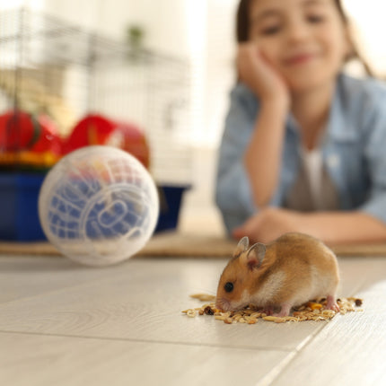 Boule de hamster transparente Ø 14 cm