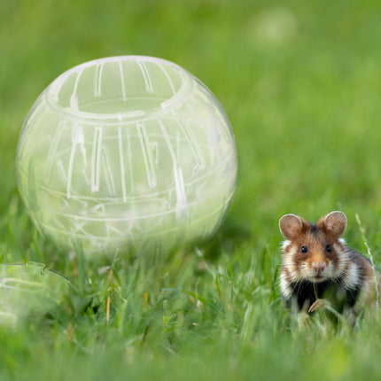 Boule de hamster transparente Ø 14 cm