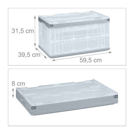 Transparente Transportbox mit Deckel