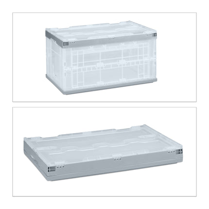 Transparente Transportbox mit Deckel