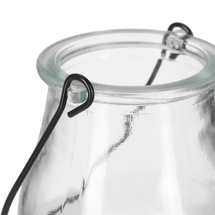Transparent wind light set of 12