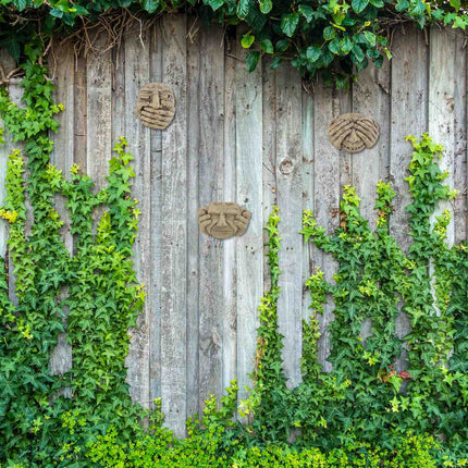 Tree faces set of 3