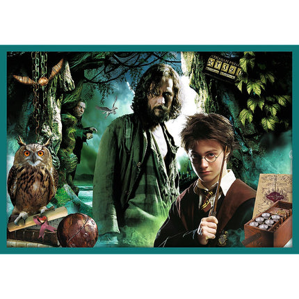 Trefl Harry Potter Puzzle 10-in-1 Set