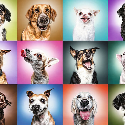 Trefl Prime Puzzle Funny Dogs Faces, 1000 Pcs