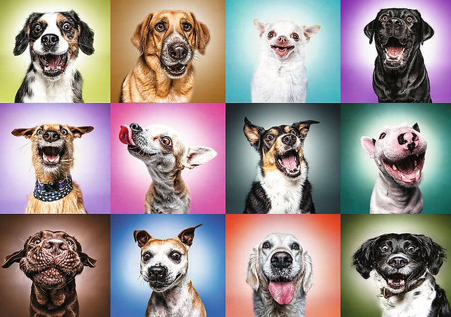 Trefl Prime Puzzle Lustige Hundegesichter, 1000 Teile