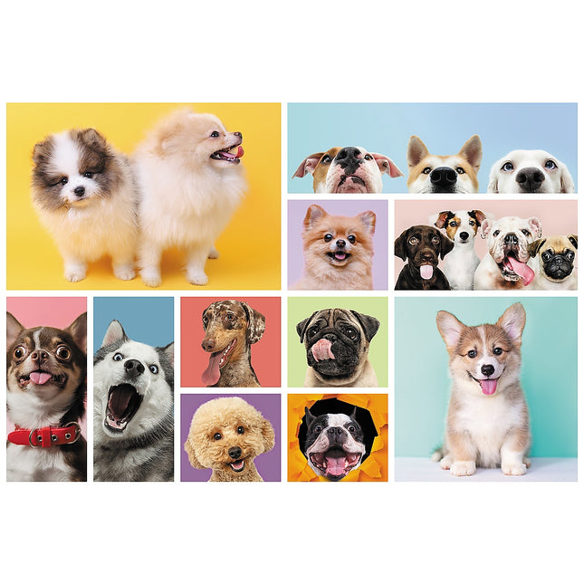 Trefl Puzzle Hunde 160 Teile