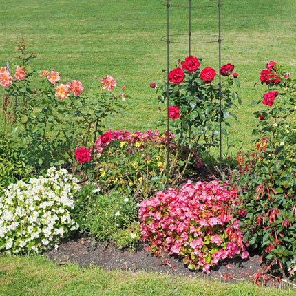 Trellis 120 cm set of 5