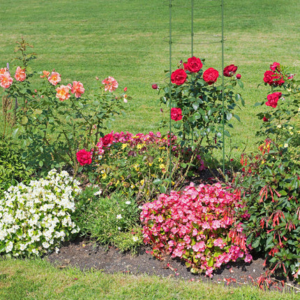 Trellis 120 cm set of 5