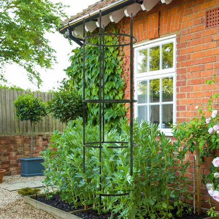Black steel 4-layer plant holder and tomato cage for balcony garden
