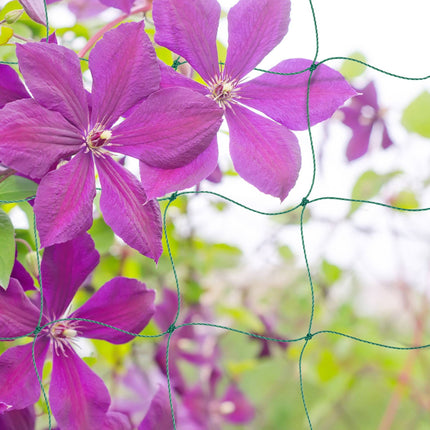 Trellis net 200 x 250 cm set of 4