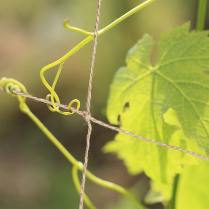 Filet de treillis en jute