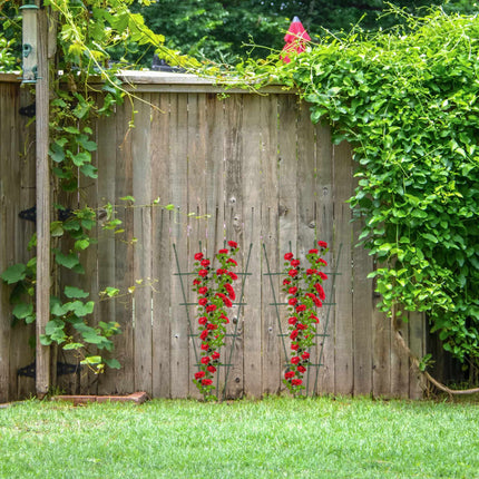 Trellis set of 2