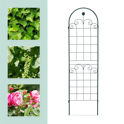 Trellis set of 2