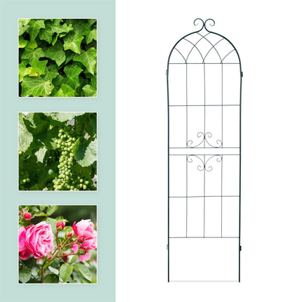 Trellis set of 2