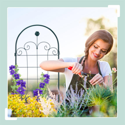 Trellis set of 2
