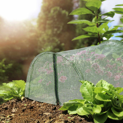 Tunnel greenhouse garden