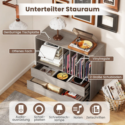 Plattenspielerständer mit 4 Vinylfächern und 2 Schubladen, Grau