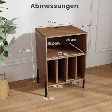 Plattenspieler-Ständer mit Ladestation und Ablagefächern