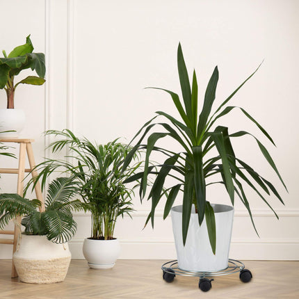 Vegetal's set of 2