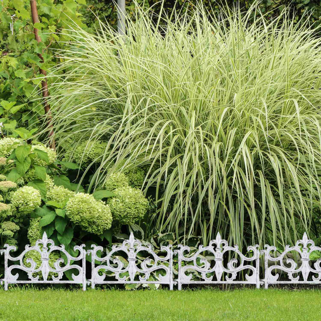 Antikes Gartenbeet Zaun, 10 Gusseisenpaneele