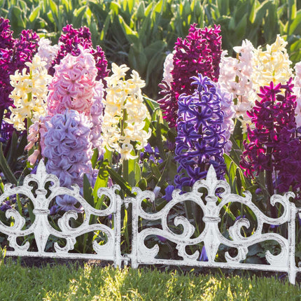 Antikes Gartenbeet Zaun, 10 Gusseisenpaneele