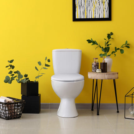 WC seat with child seat