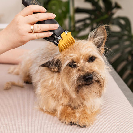 Wahl Colour Pro Cordless Pet Clipper with 8 Guide Combs, Up to 120 Minutes