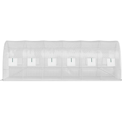 Walk-In Tunnel Greenhouse 20x10x7 ft, 2 Doors, 12 Windows