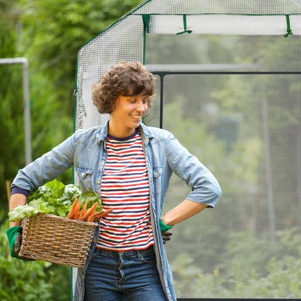 Walk-in greenhouse with 4 windows