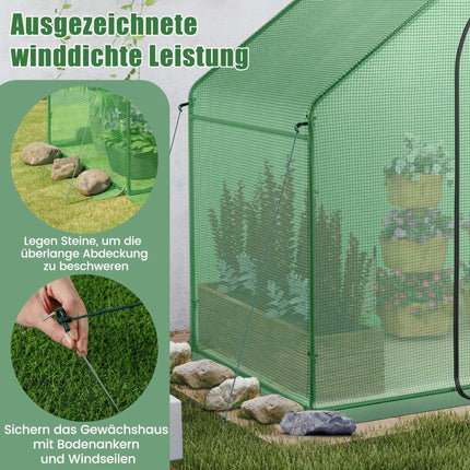 Walk-in greenhouse with PE cover & roll-up zip door & window film greenhouse