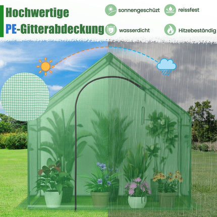 Walk-in greenhouse with PE cover & roll-up zip door & window film greenhouse