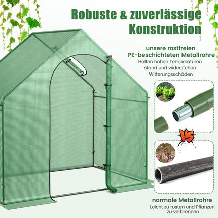 Walk-in greenhouse with PE cover & roll-up zip door & window film greenhouse