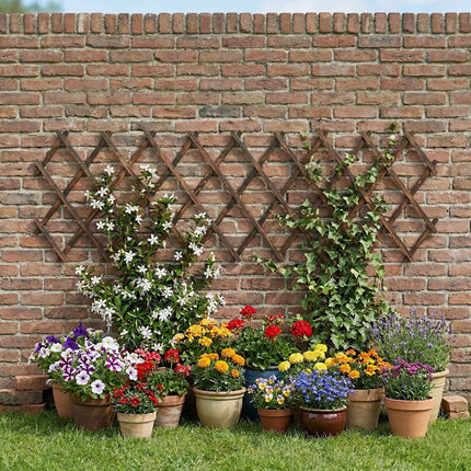 Wandmontiertes ausziehbares Fichten-Pflanzenspalier, 3er-Set