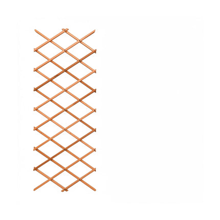 Wall-Mounted Plant Trellis Set, 3-Piece Extendable Wood