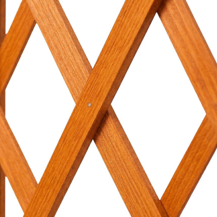 Wall-Mounted Plant Trellis Set, 3-Piece Extendable Wood
