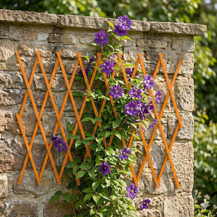 Wall-Mounted Plant Trellis Set, 3-Piece Extendable Wood